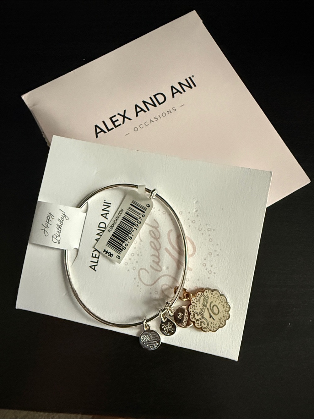 Alex and Ani Two-Tone Sweet 16 Charm Bangle Bracelet
